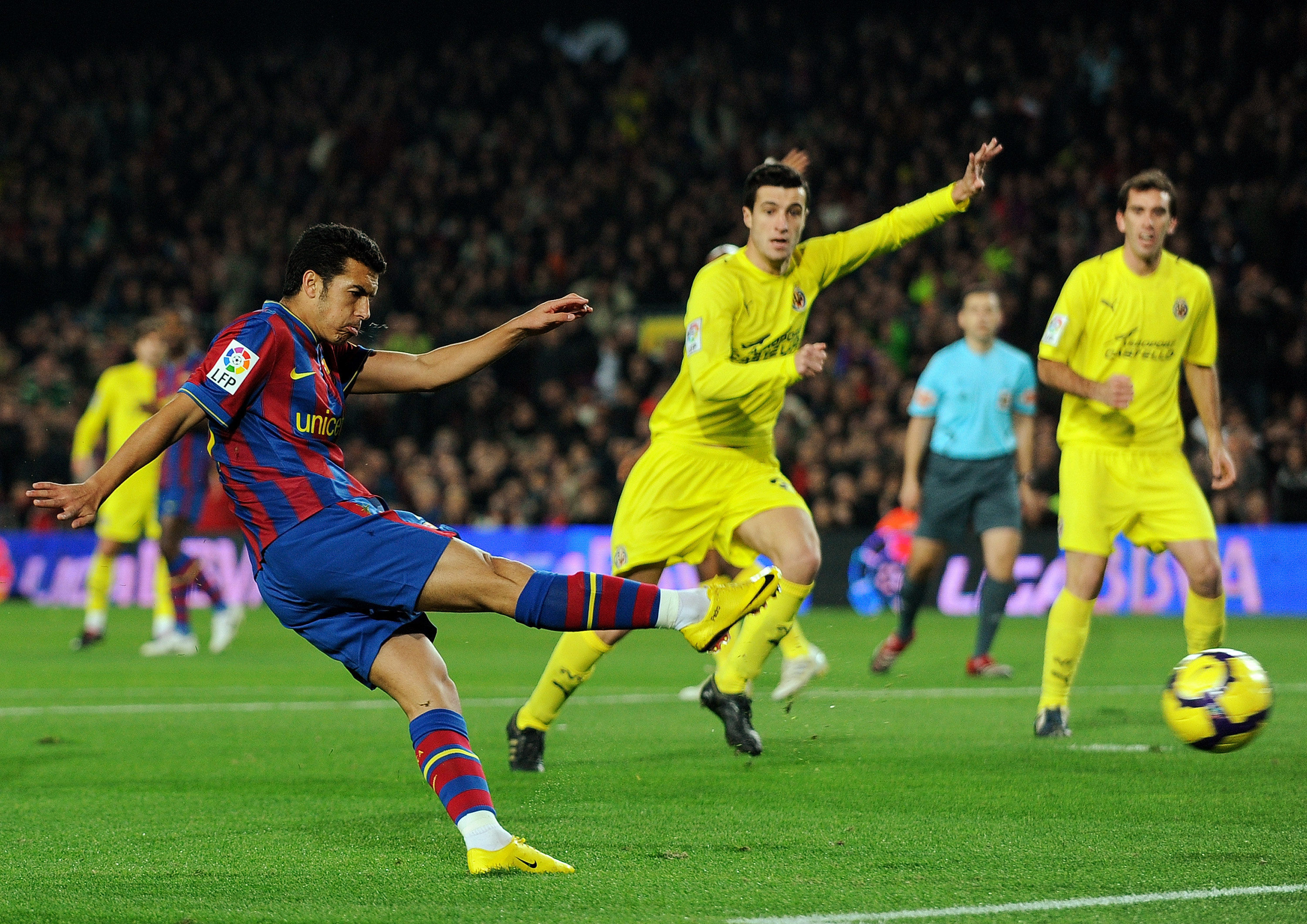 无数粉丝的 无数粉丝的